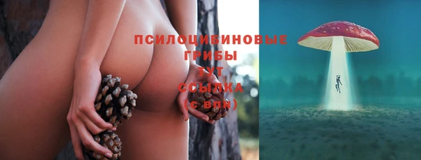 соль курить ск Алексеевка