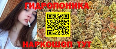 mdma Новодвинск