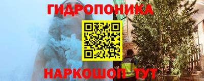 стафф Новокубанск