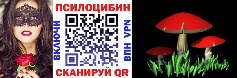 Галлюциногенные грибы мухоморы гидра Сухой Лог