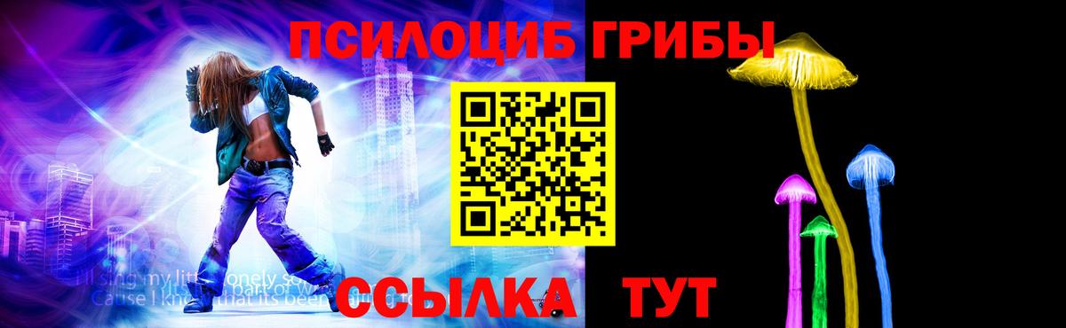 Сухой Лог  Псилоцибиновые грибы мицелий  Вход с VPN 